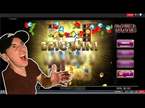 Speel nu op Rabbit Road Online Casino in Nederland - Onze beste spellen wachten op u!